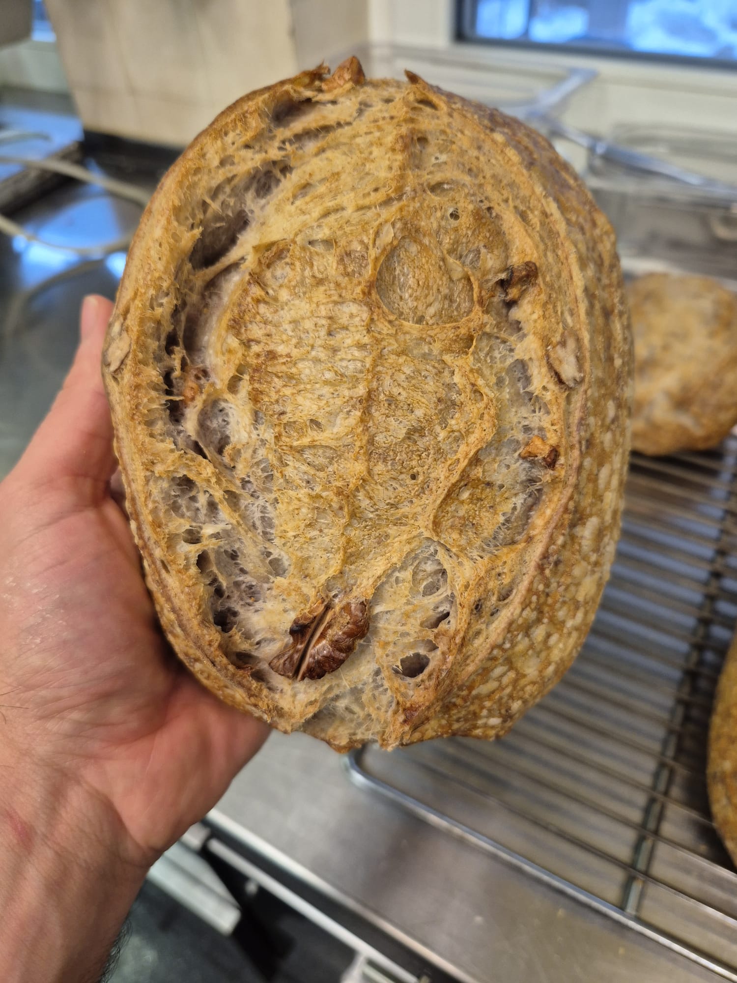 Pane appena preparato, tenuto in mano davanti alla griglia di raffreddamento